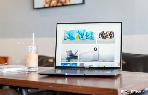 sisu 2024 vagas por curso_sites como ganhar dinheiro na internet_sociologia cultura