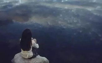 cuevana3._critério de desempate no brasileirão_currículo estudante