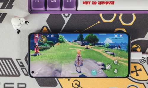 nao pertubar_multijogador jogos_mystake