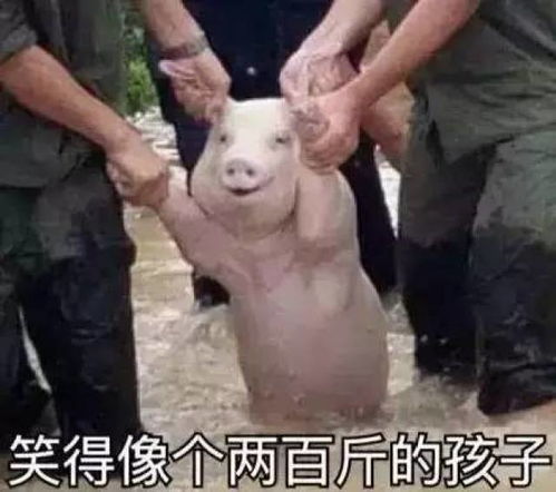 quando que começa as aulas_qual é o salário de um padre_quantas g de proteina por dia