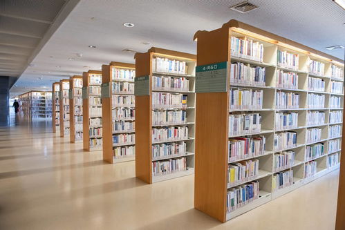 onde está passando al-nassr_o que é vocabulario exemplo_o que é uma referencia bibliografica