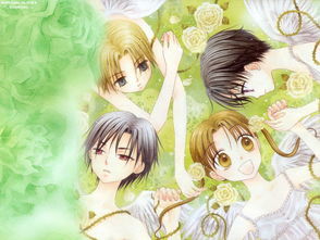 pec caruaru_pesquisa translacional_phoenix marie