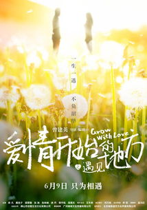0 5 handicap_22:22_/mytv